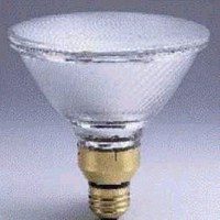 100 WATT HALOGEN FLOOD