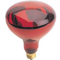 250W RED HEAT LAMP BULB