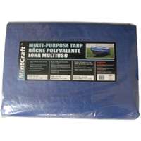 10' X 12' BLUE POLY  TARP