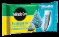 EVERGREEN SPIKES 12PK