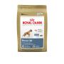 ROYAL CANIN BOXER ADULT 30 LB.