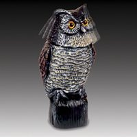 REALISTIC OWL W/ ROTATING HEAD