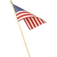 8"x12" HAND AMERICAN FLAG