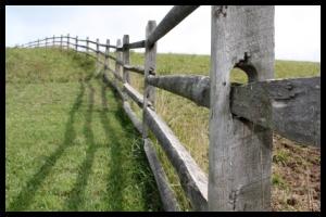 Fencing, Gates &amp; Panels