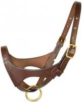 PREM FOAL LEATHER HALTER