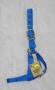 COW TURNOUT HALTER 1" BLUE