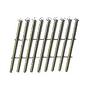 2-1/2" GALV R/S COIL NAIL 2700pc