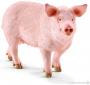 SCHLEICH PIG