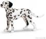 SCHLEICH DALMATIAN MALE