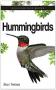 BACKYARD HUMMINGBIRD