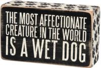 BOX SIGN WET DOG