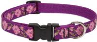 LUPINE 9-14 COLLAR ROSE GARDEN