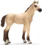 SCHLEICH AKHAL-TEKE FOAL