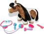 BREYER CHOLE CARE FOR ME VET SET