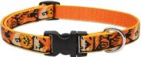 8-12 DOG COLLAR HALLOWEEN 1/2