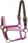 PONY RASP CUPCAKES SAFETY HALTER