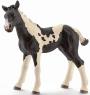 SCHLEICH PINTO FOAL