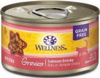 WELLNESS COMPLETE HEALTH GRAVIES SALMON 3 OZ.