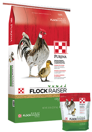 PURINA FLOCK RAISER CRUMBLES 50 LB.