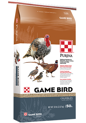 GAME BIRD LAYER CRUMBLES